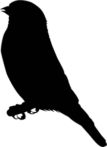 Vektor-Bild Distelfink Vogel auf einem Zweig