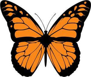 Vektorbild orange fjäril med wide sprida vingar
