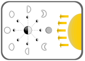 Diagramma delle fasi lunari