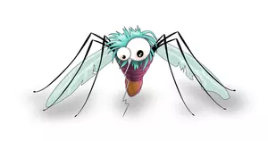 Komiks komara