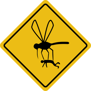 Hyttysten vaara