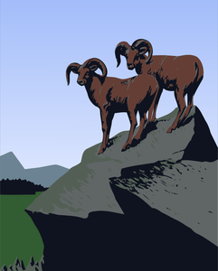 Mountain goats image