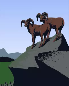Mountain goats image