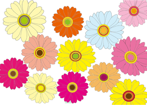 Veelkleurige bloemen