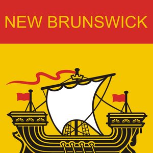 Vlag van New Brunswick vector afbeelding