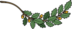 Ramura de stejar vector imagine