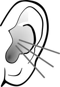 Grafica vettoriale di orecchio che ascolta in scala di grigi