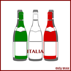 Italian flag and wines