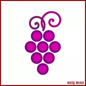 Purple wine grapes