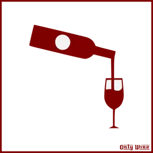 Rode wijn fles en glas