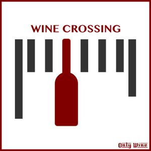 Wine label 3