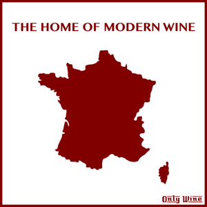 Moderní domácí víno