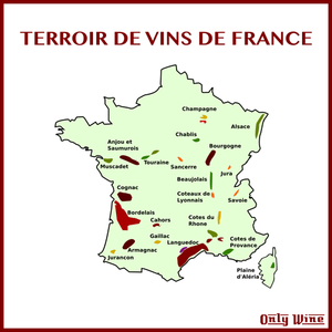 French wines