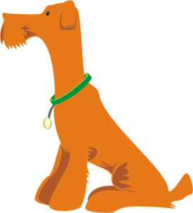Arancio cane seduto