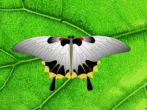 Vektorgrafikk utklipp av grå butterfly på et blad