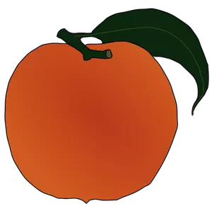 Image vectorielle Peach