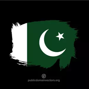 Geschilderde vlag van Pakistan