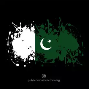 Salpicón de tinta con la bandera de Pakistán