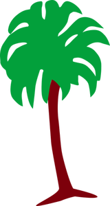 Palm tree image