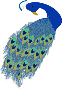 Graphics of blue peacock tail and head