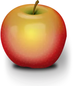 Vector illustration of light opacity apple