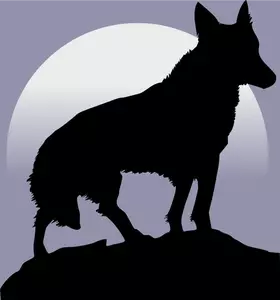 Sagoma del lupo davanti all'immagine vettoriale luna