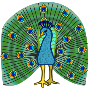 262 Peacock Feather Clip Art Free Download Public Domain Vectors