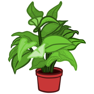 Potted plant image