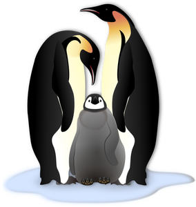 Penguin family in color illustration