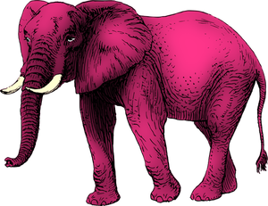 Pink elephant ClipArt