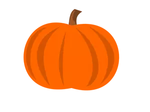 Plain pumpkin vector image