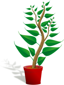 Grön växt potten vektor illustration