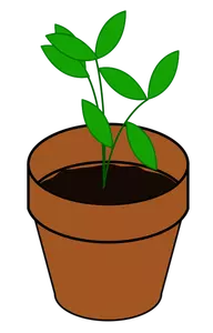 Vector image of simple plant in a terracotta pot