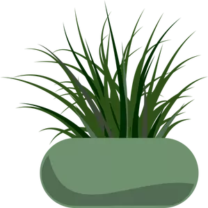 Vector graphics of grass planted in a green modern planter
