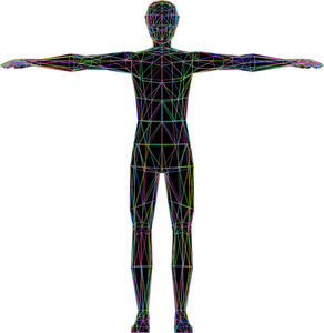 Värikäs ihmisen anatomia