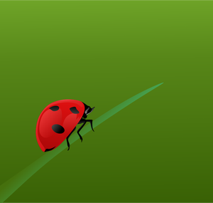 Realistic ladybug