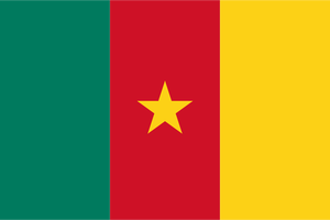 Kamerun Cumhuriyeti bayrağı illüstrasyon vektör