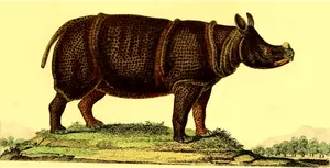Rinoceronte na natureza