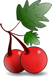 Graphiques vectoriels de fruits rouges