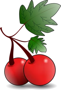 Grafika wektorowa czerwone owoce