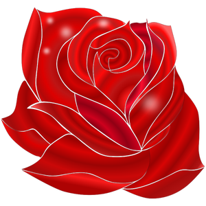 Illustration of blooming rich red rose