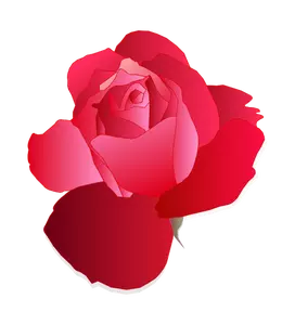 Digital tegning av rød rose