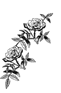 Rose decoration