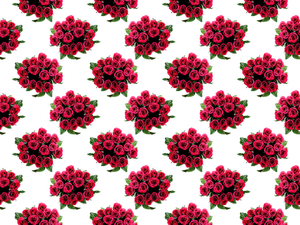 Roses pattern vector image