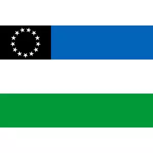 Bendera Rio Negro