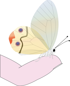 Mariposa en un dibujo vectorial de la yema del dedo