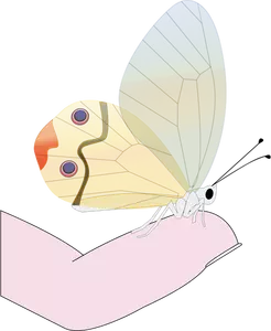 Butterfly på en enkel vektor tegning