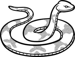 Immagine di serpente convolute linea arte vettoriale