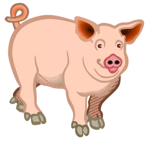 Pig domestic animal