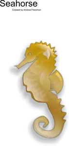 Seahorse female vector clip art